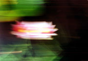 Bild �ffnen